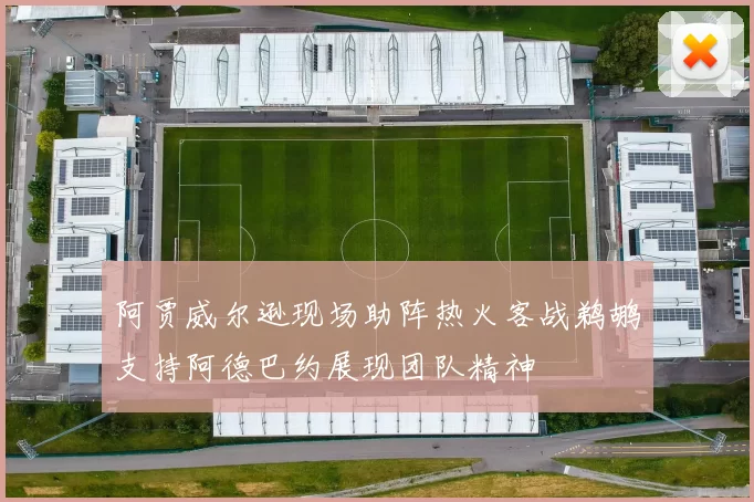 阿贾威尔逊现场助阵热火客战鹈鹕支持阿德巴约展现团队精神